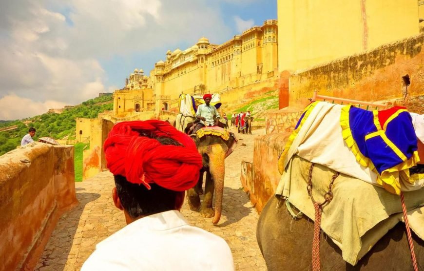 Jaipur Ranthambore Udaipur: A Journey of Wonders